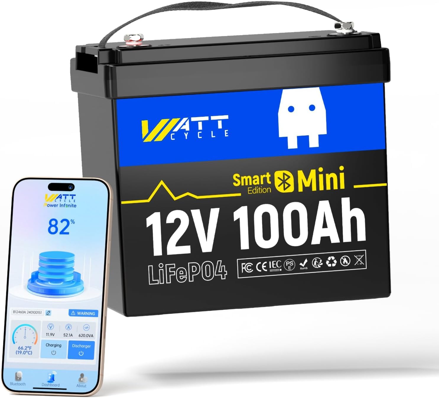 12V 100Ah 미니 LiFePO4 배터리 그룹 24 - Lifepo4 12V 100Ah Bms Bluetooth 리뷰 및 가격